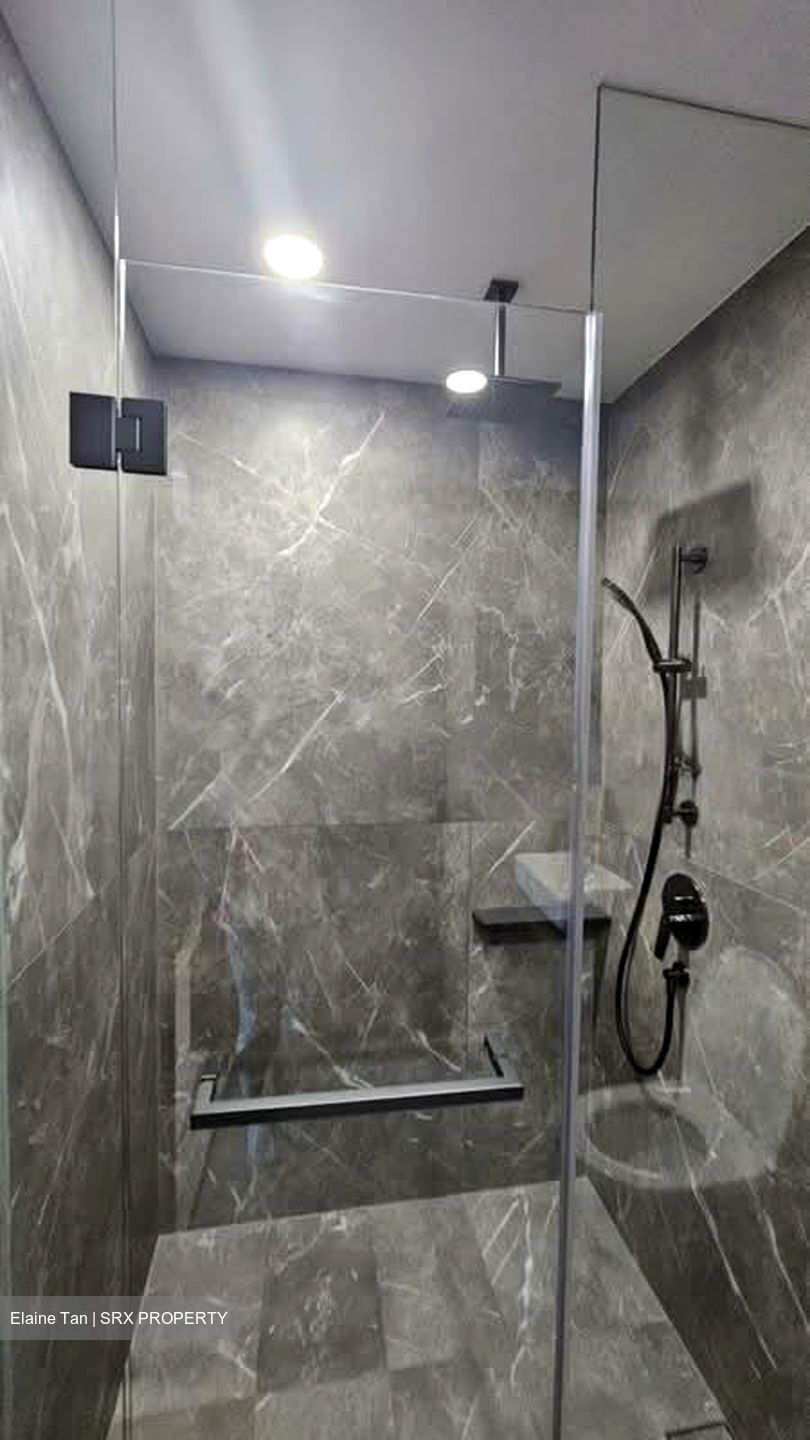 Irwell Hill Residences (D9), Apartment #535936791